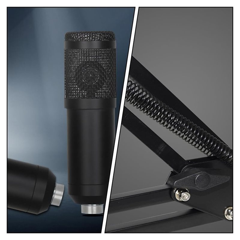 AED4-BM800 Studio-Aufnahmemikr – Condenser Microphone Kit Bewertung und Preis