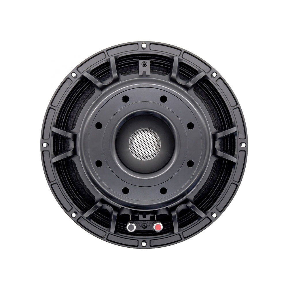 12DS Pro Audio Equipment 12''  – Subwoofer Bewertung und Preis