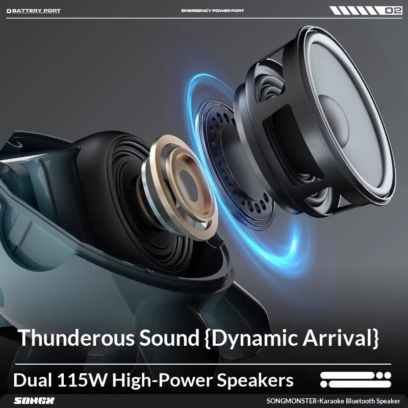 SONGX Audio Dual Mikrofon Duet – Full Range Speaker Bewertung und Preis